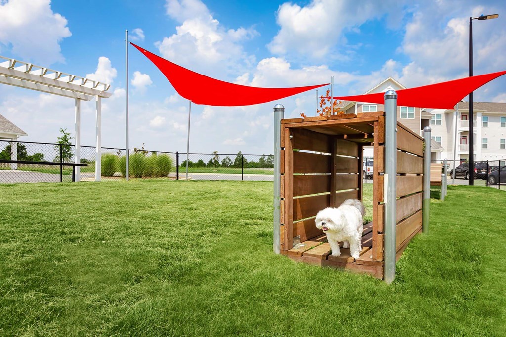 A white dog is standing in a wooden structure with red fabric hanging above it.