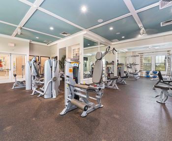 a gym with weights and cardio at Terraces at Town Center, Florida