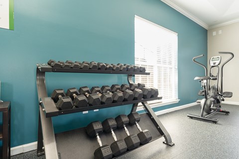a fitness room with weights and a rack of dumbbells a fitness room with weights and a rack of dumbbells at WildForest Apartments, Birmingham