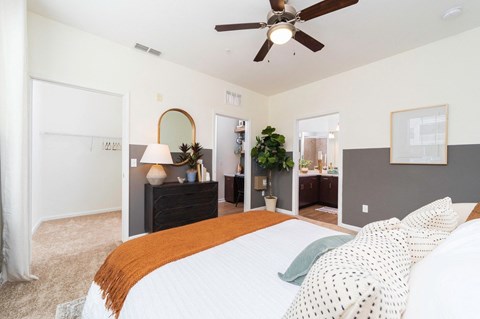 a bedroom with a large bed and a ceiling fan at Terraces at Town Center, Jacksonville, 32256
