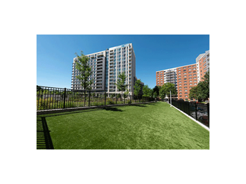 Dog Park Access at The Pearl, Maryland
