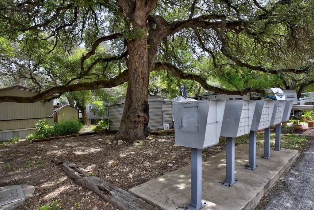 a row of mailboxes in front of a tree
