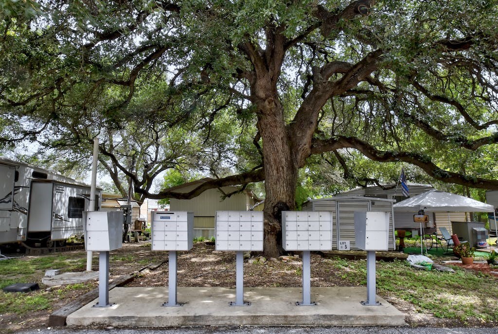 a group of mailboxes in front of a tree