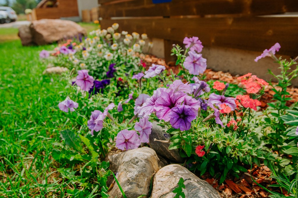Outdoor Garden at Dream Island, Steamboat Springs, 80487