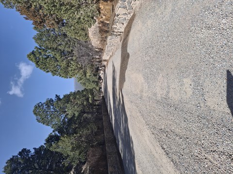 A road with a stone wall and trees on the side.