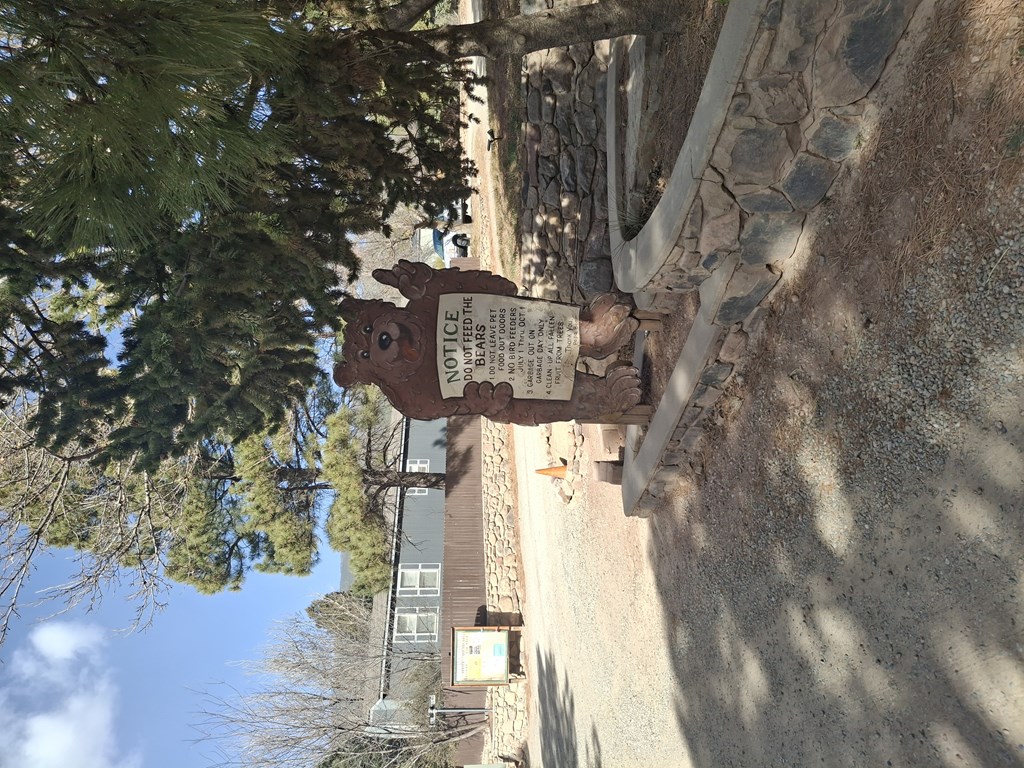 A sign is posted on a wall in front of a tree.