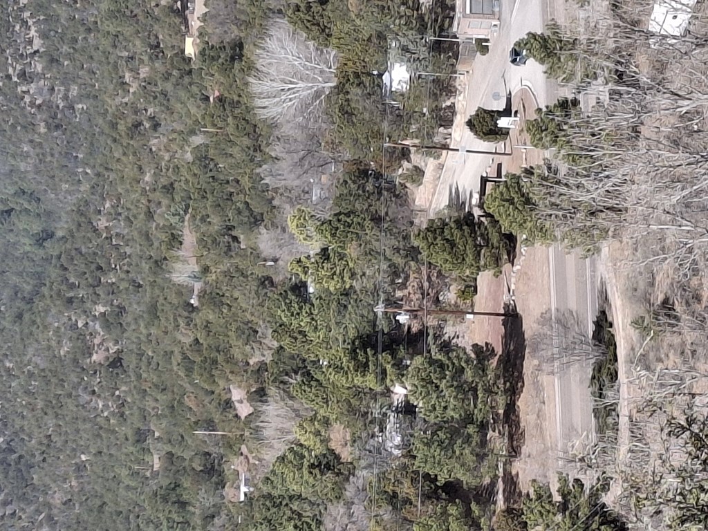 A road cuts through a wooded area with a house on the right.