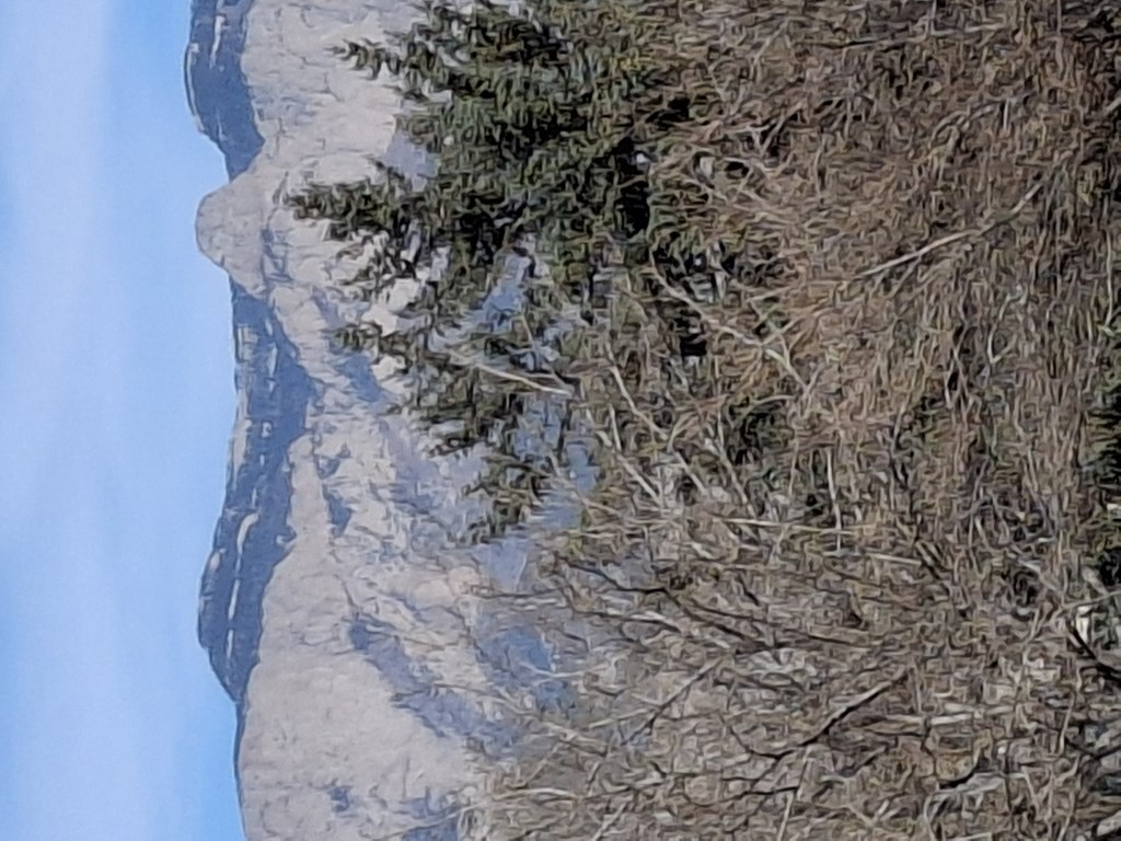 A rocky cliff with greenery growing on top.