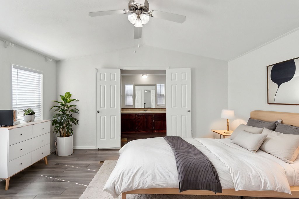 A bedroom with a large bed, a ceiling fan, and a dresser with a plant on it.