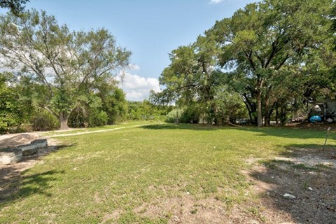 A grassy field with trees in the background.