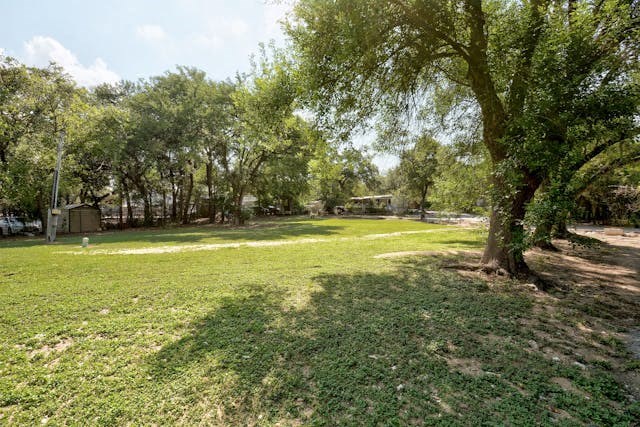 a park with a tree in the grass