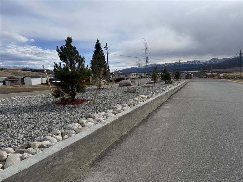 A road with a gravel area on the side and a few trees.