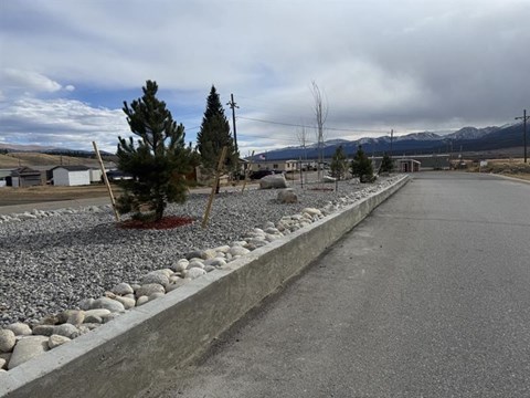 A road with a gravel area on the side and a few trees.