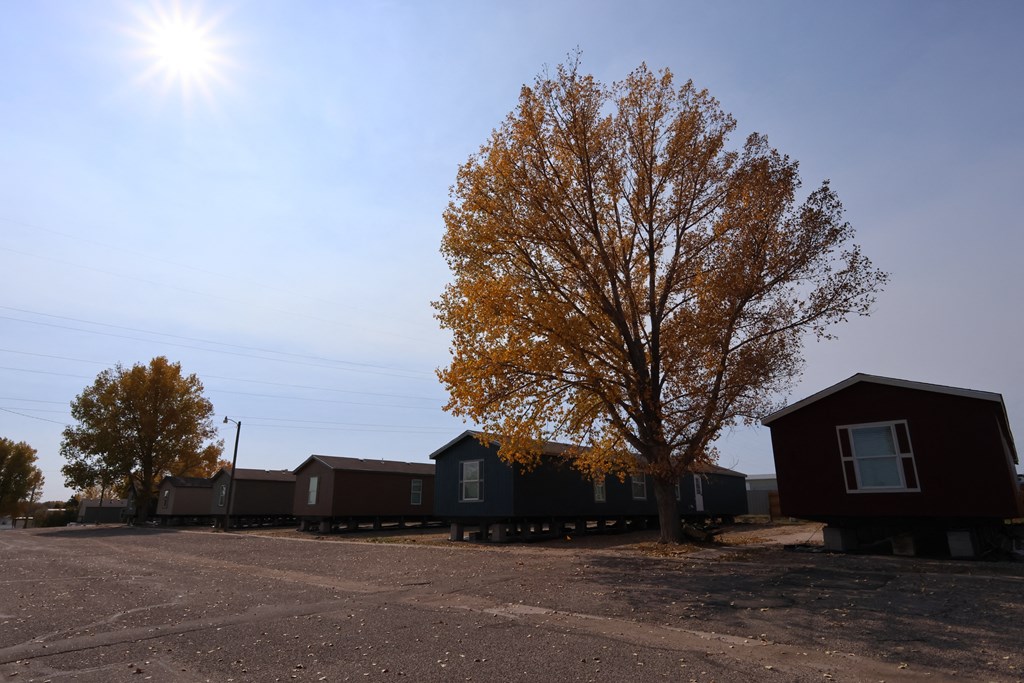 a row of small houses in a parking lot with a tree at Country Lane, Cheyenne, Wyoming