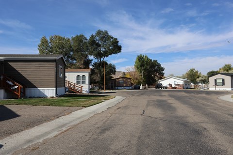 a street in a neighborhood with houses and trees