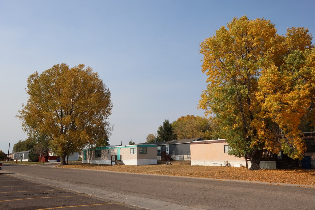 A tree with yellow leaves stands next to a tree with orange leaves.
