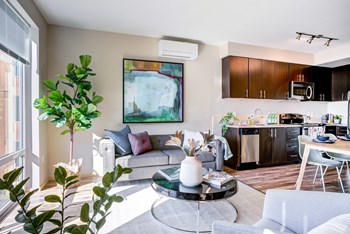 Studio living space - Photo Gallery 5