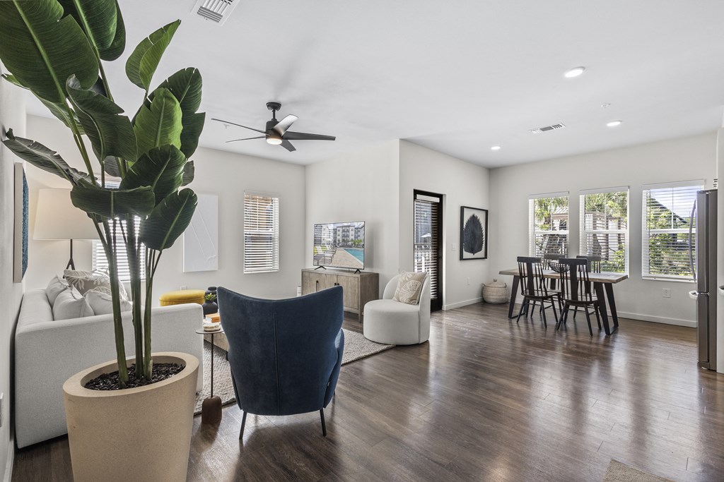 a living room with white walls and a large potted plant