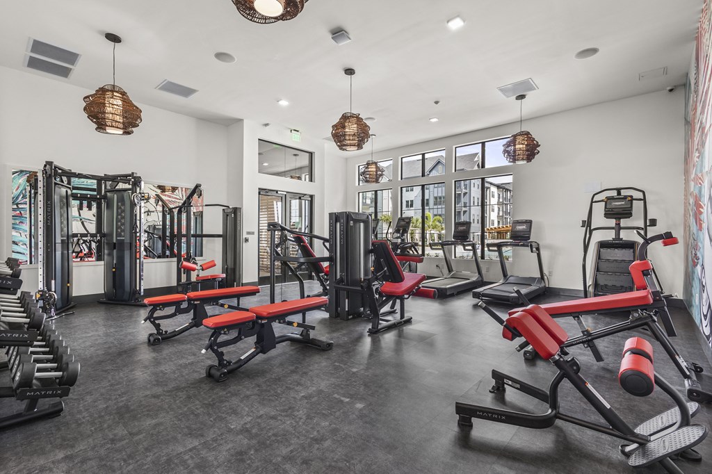a gym with weights and cardio equipment and glass windows