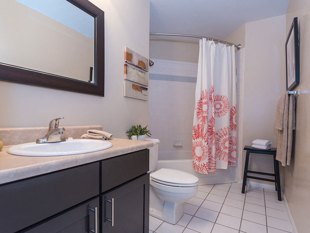 Spa inspired bathroom at Reflection Cove Apartments in Manchester, Missouri