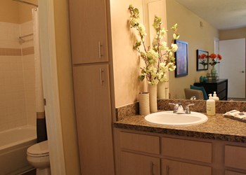 Spacious upgraded bathroom Spacious upgraded bathroom at Park Laureate in Jeffersontown, Louisville, KY 40220 - Photo Gallery 4