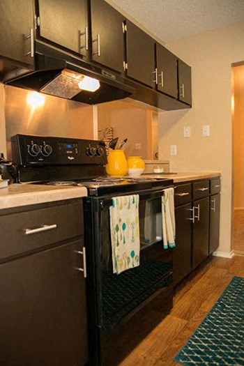 Newly Renovated Kitchen with ungraded black appliances and cabinets Newly Renovated Kitchen with ungraded black appliances and cabinets at Riverset Apartments in Mud Island, Memphis, TN - Photo Gallery 5