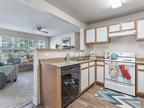 Kitchen with dishwasher at The Villas at Bailey Ranch Apartments, Oklahoma