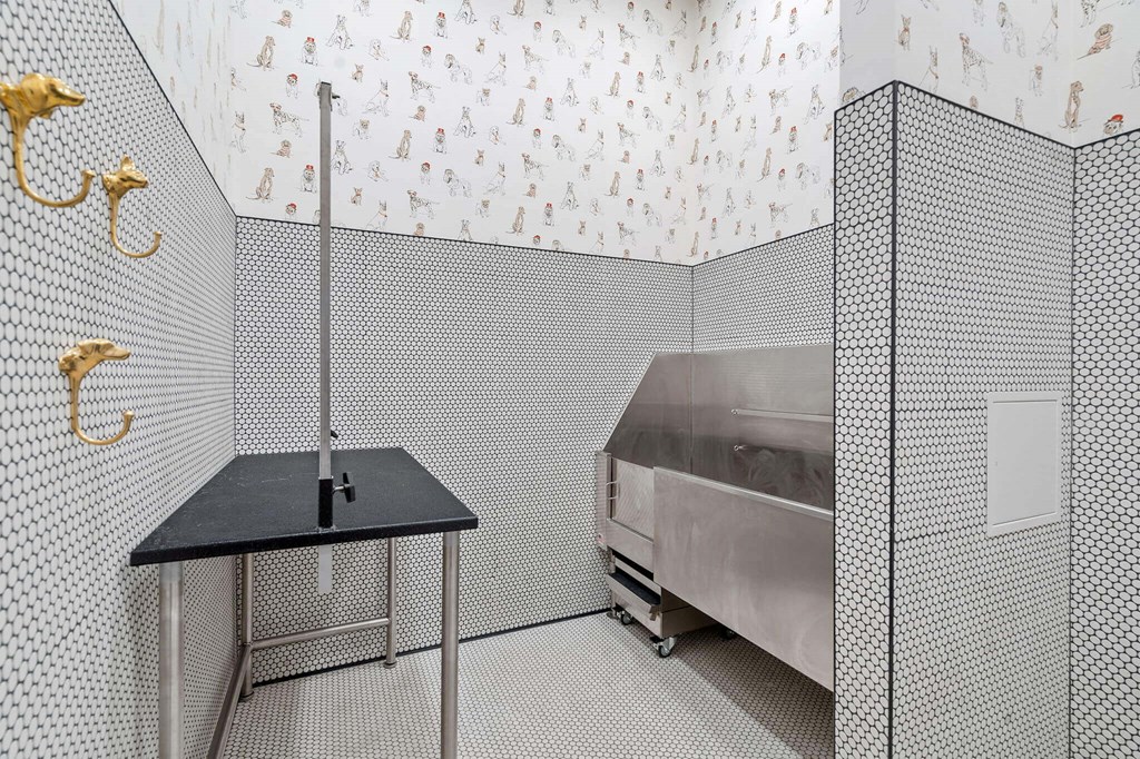 Pet Wash with Drying Stand at The Hallon Apartments,  Hopkins, MN