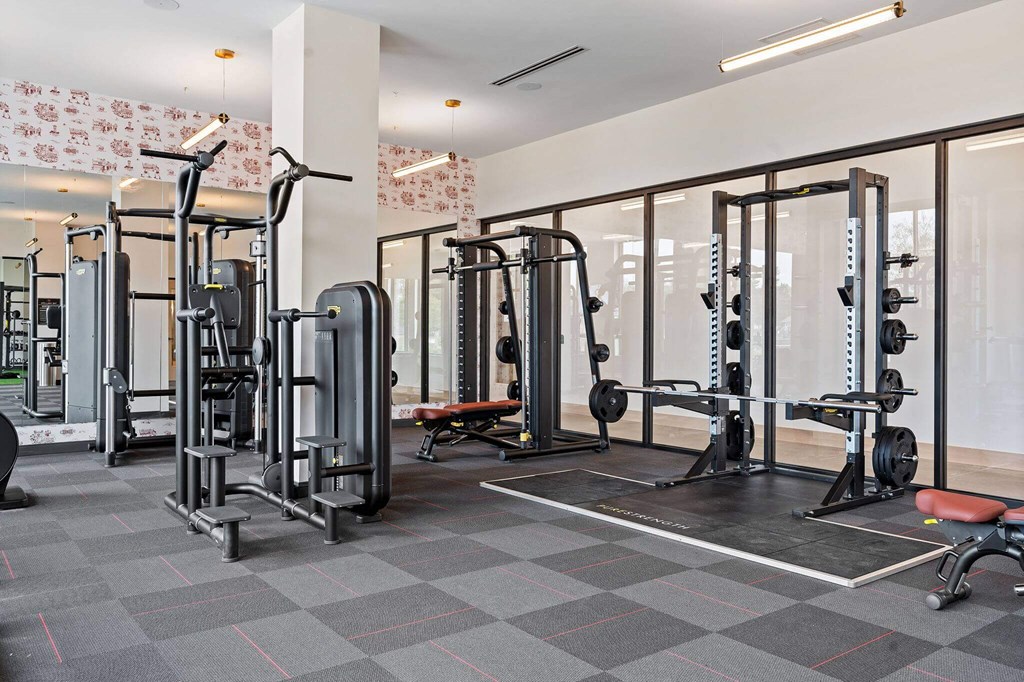 Fitness Center With Modern Equipment at The Hallon Apartments,  Hopkins, MN, 55343