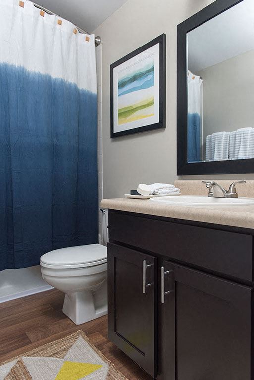 Modern Bathroom Fittings Modern Bathroom Fittings at Crescent Centre Apartments, Louisville - Photo Gallery