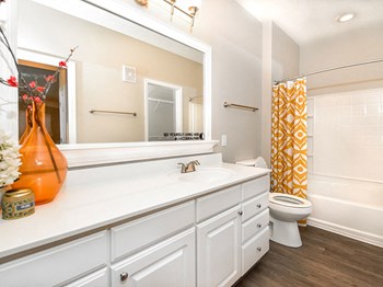 renovated bathrooms Property Image