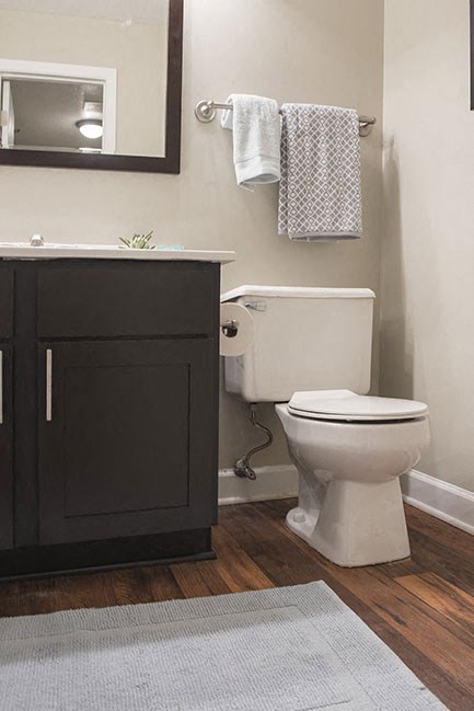 Modern Bathroom Fittings at The Pointe at St. Joseph Apartments, Indiana, 46617