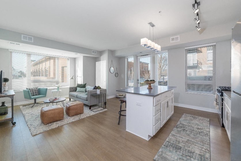 Kitchen and Living at Park 205, Park Ridge