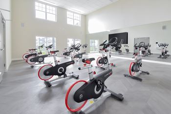 a gym full of exercise bikes in a large room