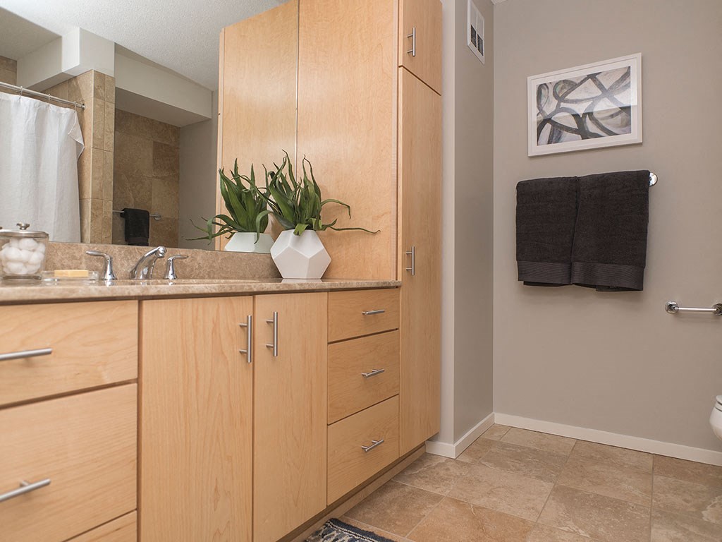 Renovated Bathrooms With Quartz Counters at Optima Old Orchard Woods, Illinois
