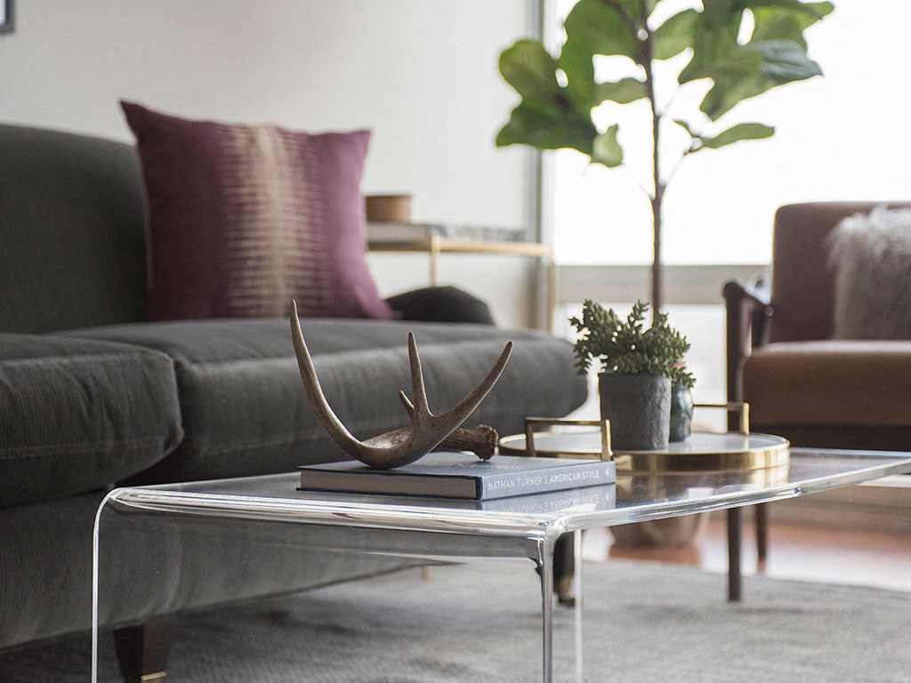 Sofa And A Plant at Optima Old Orchard Woods, Skokie, IL