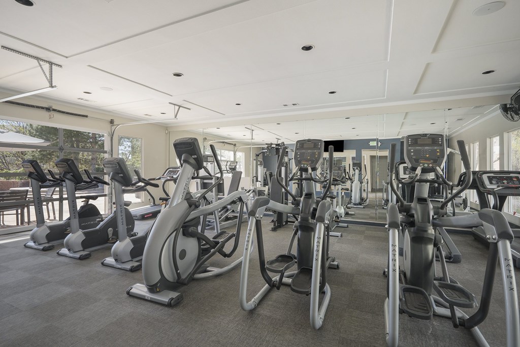 A gym with a row of stationary bikes.