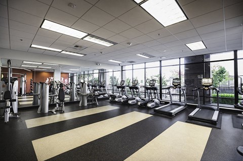 A gym with treadmills, weights, and exercise equipment.