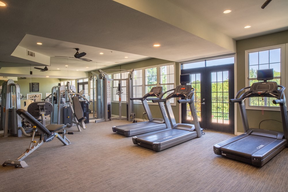 Community gym with treadmills