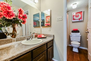 apartment bathroom - Photo Gallery 5