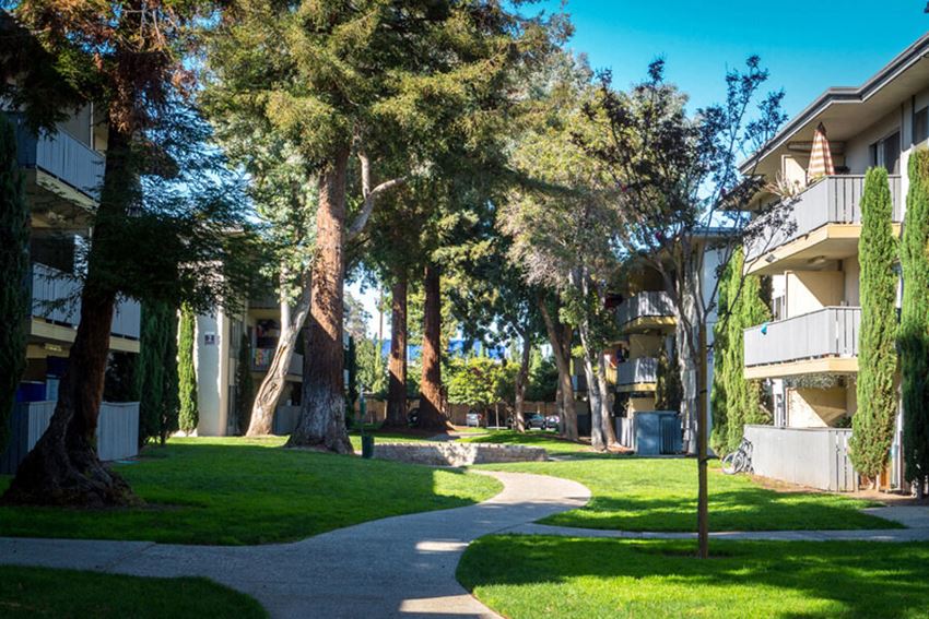 Pathway through property in between buildings