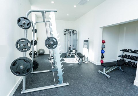 A well-equipped gym with a variety of weightlifting equipment.