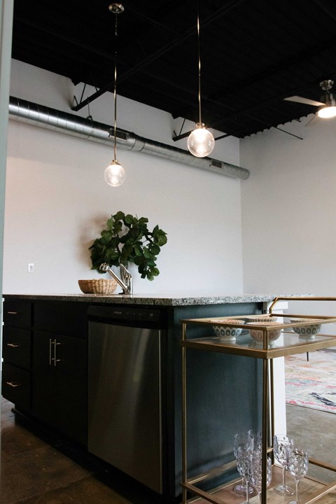 A black and white kitchen with a stainless steel dishwasher and a plant on the counter.