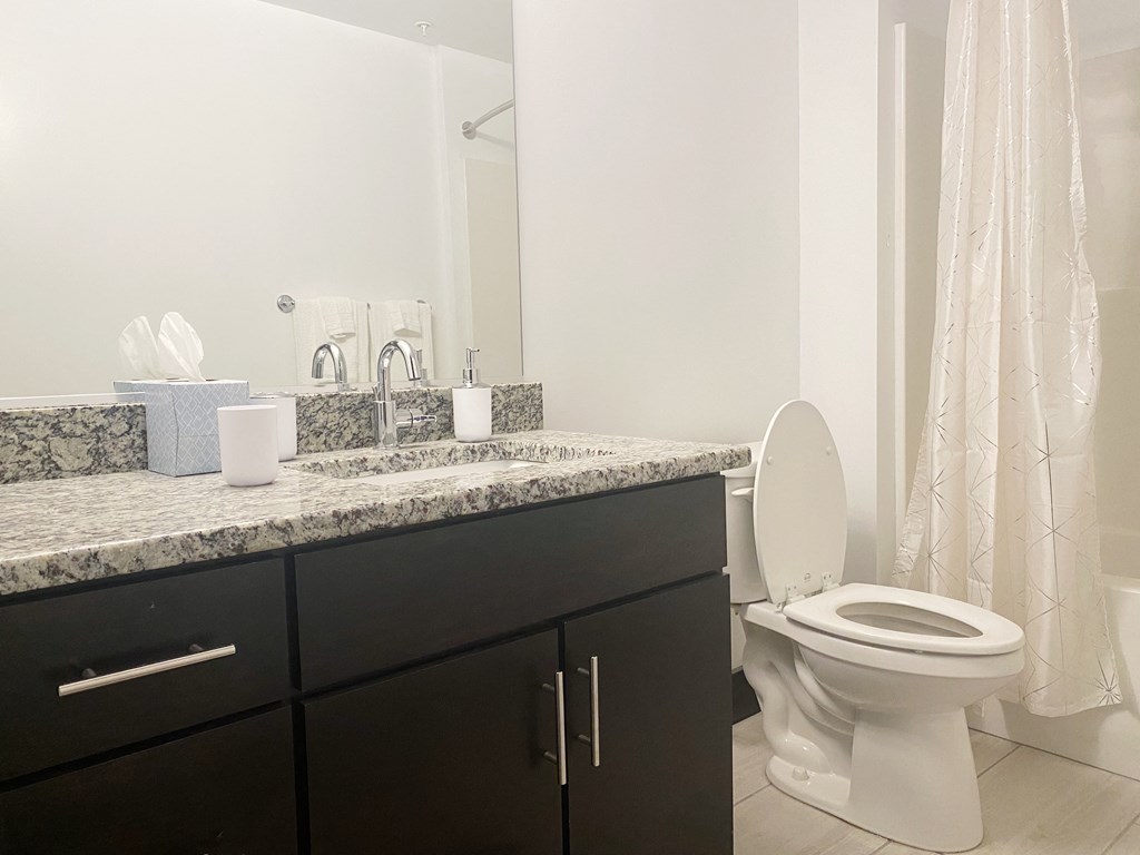 a bathroom with a toilet and a sink and a mirror