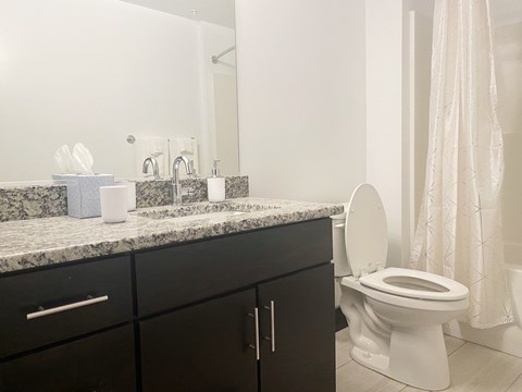 a bathroom with a toilet and a sink and a mirror