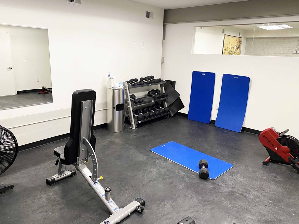a workout room in a gym with weights and cardio equipment