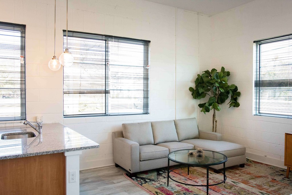 A living room with a couch, a table, and a plant.