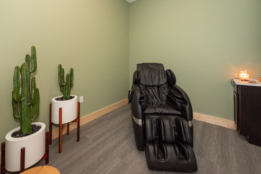 a massage chair in a room with a cactus and a plant