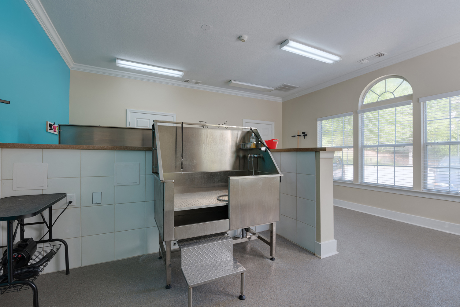 Dog Spa at 150 Summit Apartments, Birmingham, AL