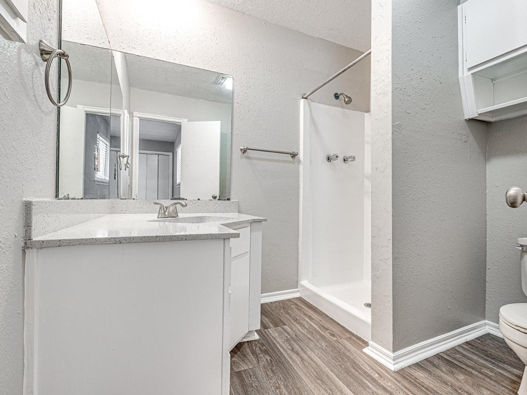 a bathroom with a sink and a shower and a mirror